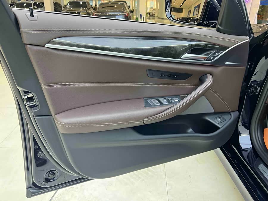 BMW 5 Series 2022 car image #10