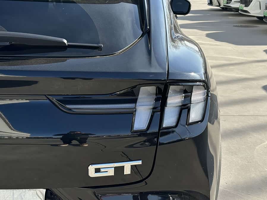 Ford Mustang Mach-E 2022 car image #10