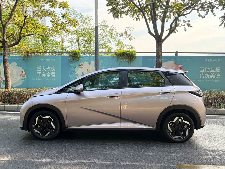 比亚迪 海豚 2022 汽车图片 #10