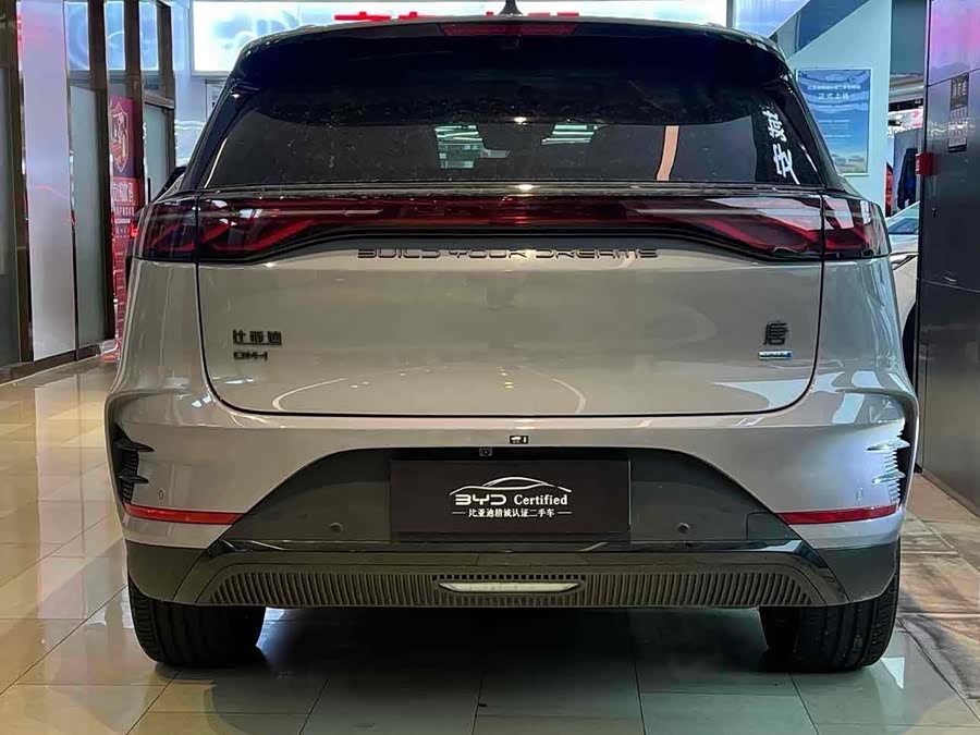 BYD Tang New Energy 2025 car image #10