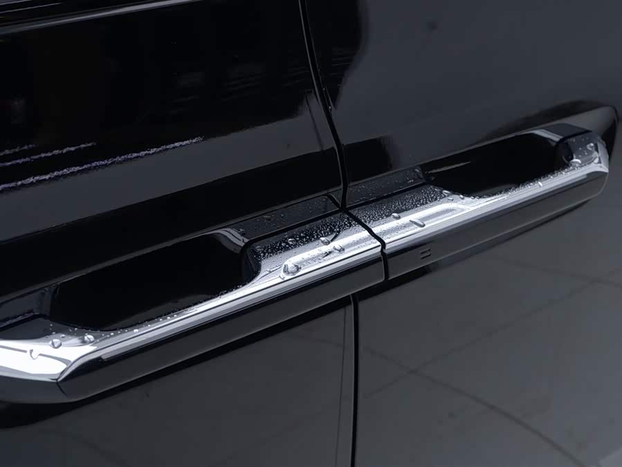 极氪 极氪009 2024 汽车图片 #10