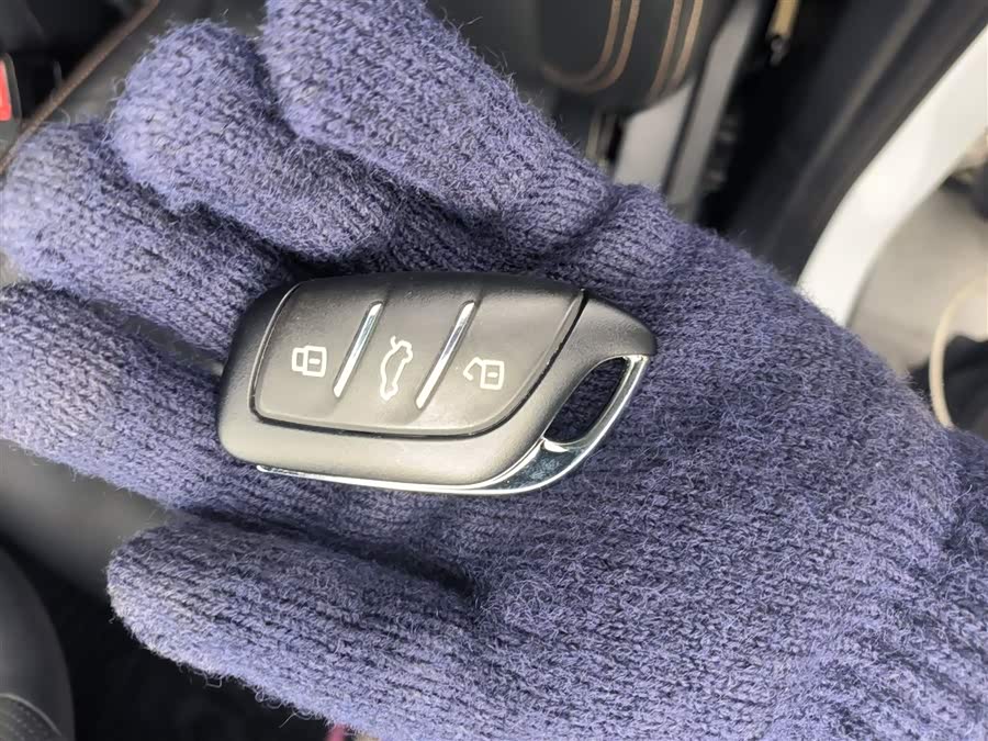 Roewe RX3 2021 car image #10