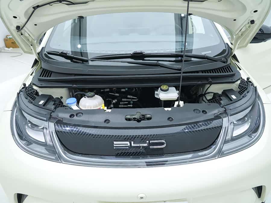 BYD Dolphin 2022 #10 BYD Dolphin 2022 immagine di auto #10