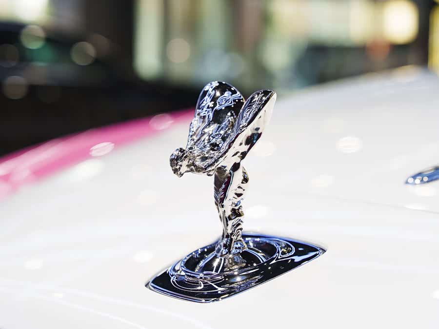 Denza Wraith 2023 car image #10