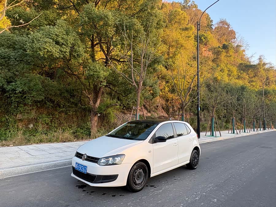 Volkswagen Polo 2014 car image #10