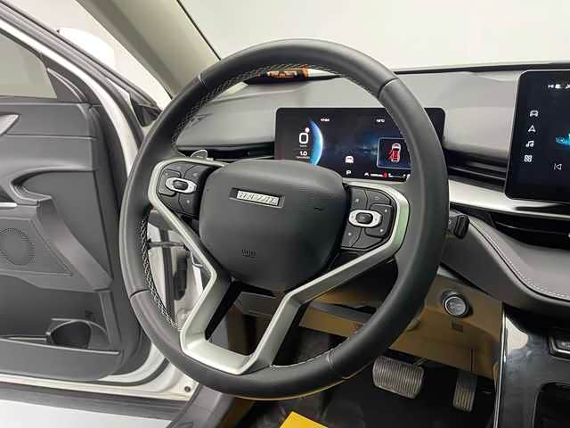 Haval H6 2021 car image #10