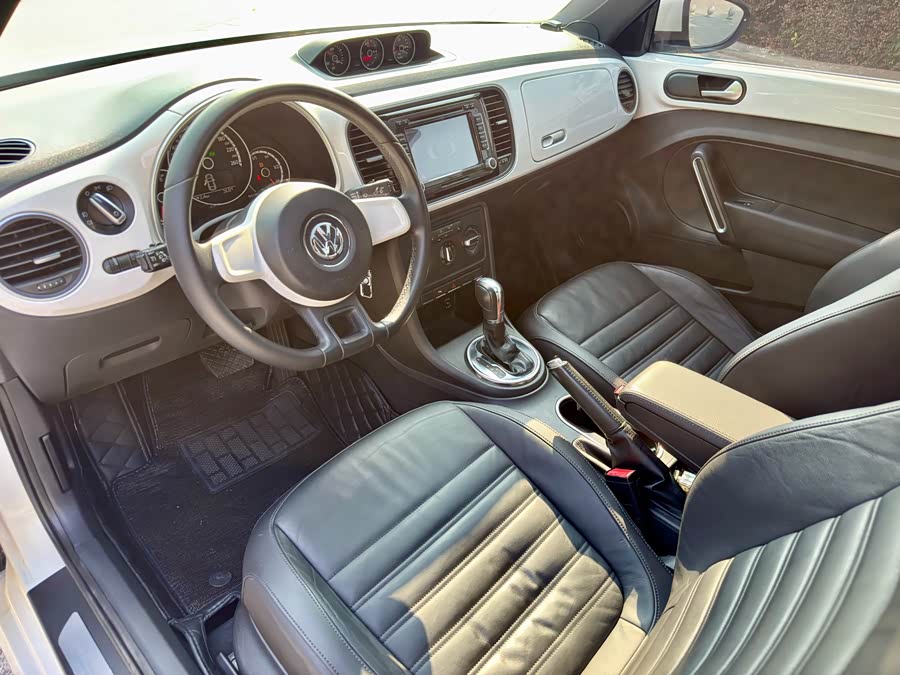 Volkswagen Beetle 2013 immagine di auto #10