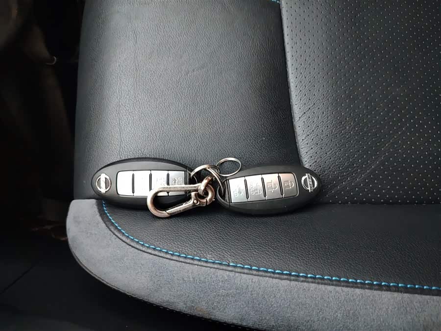 日产 轩逸·纯电 2019 汽车图片 #10