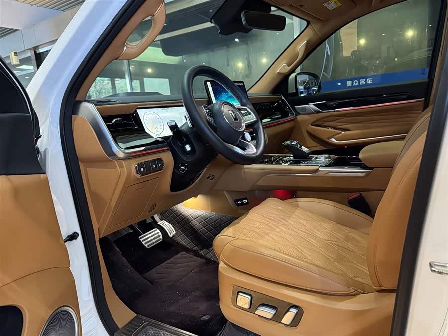 Tank 500 New Energy 2023 car image #10