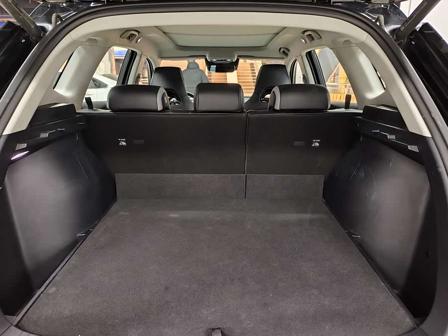 BYD Sea Lion 05 DM-i 2025 car image #10