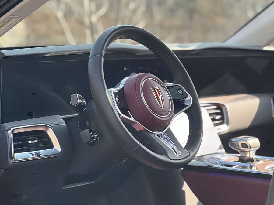 HongQi E-HS9 2023 صورة سيارة #10