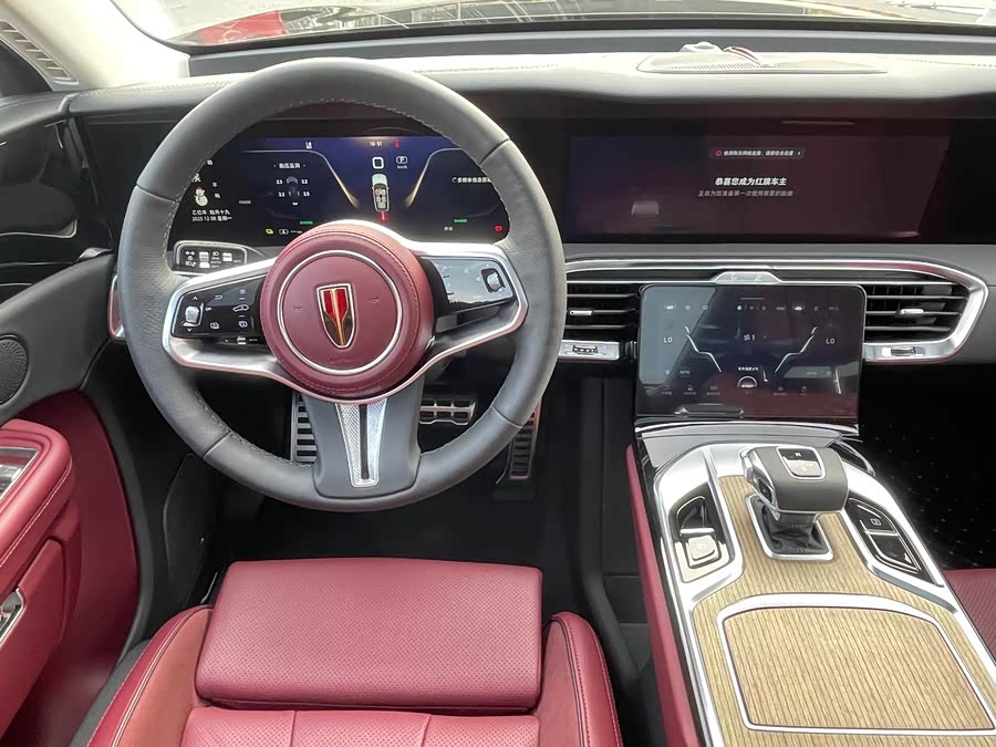 HongQi E-HS9 2023 изображение автомобиля #10