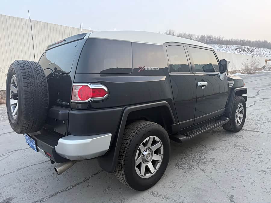 Toyota FJ Cruiser 2016 car image #10