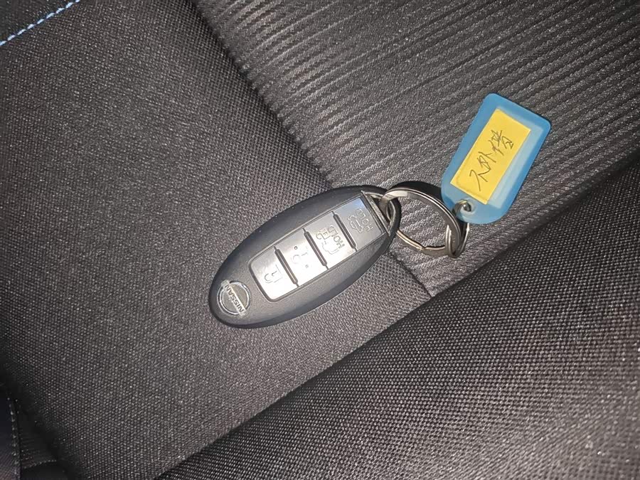 日产 轩逸·纯电 2019 汽车图片 #10