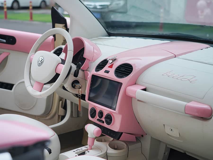 大众 甲壳虫 2010 汽车图片 #10