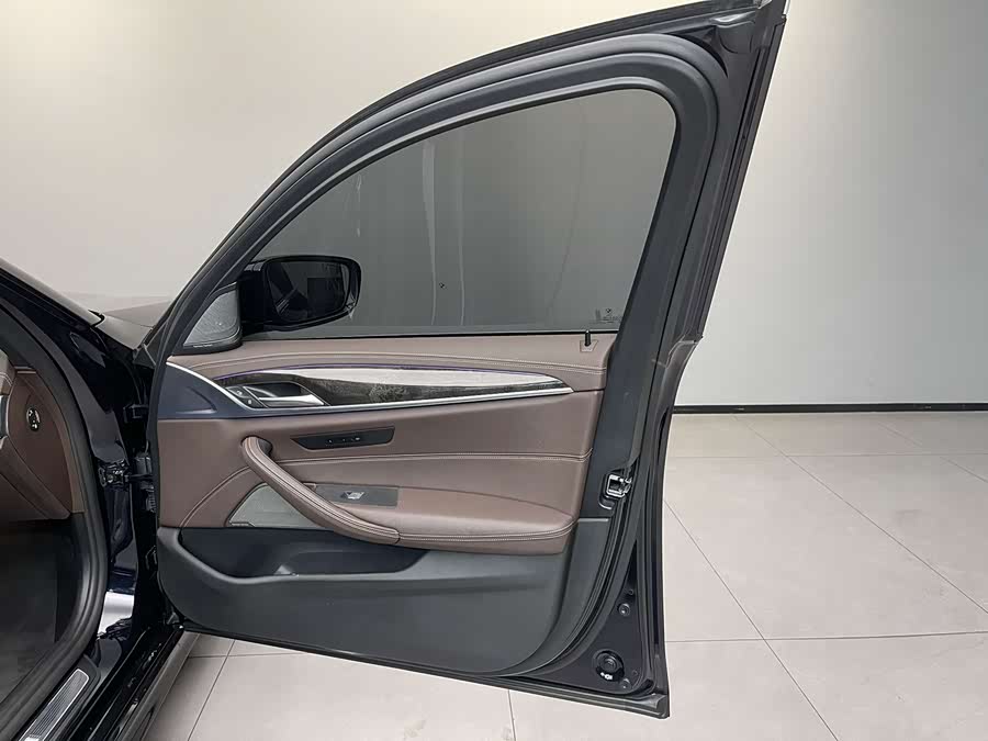 BMW 5 Series New Energy 2021 car image #10