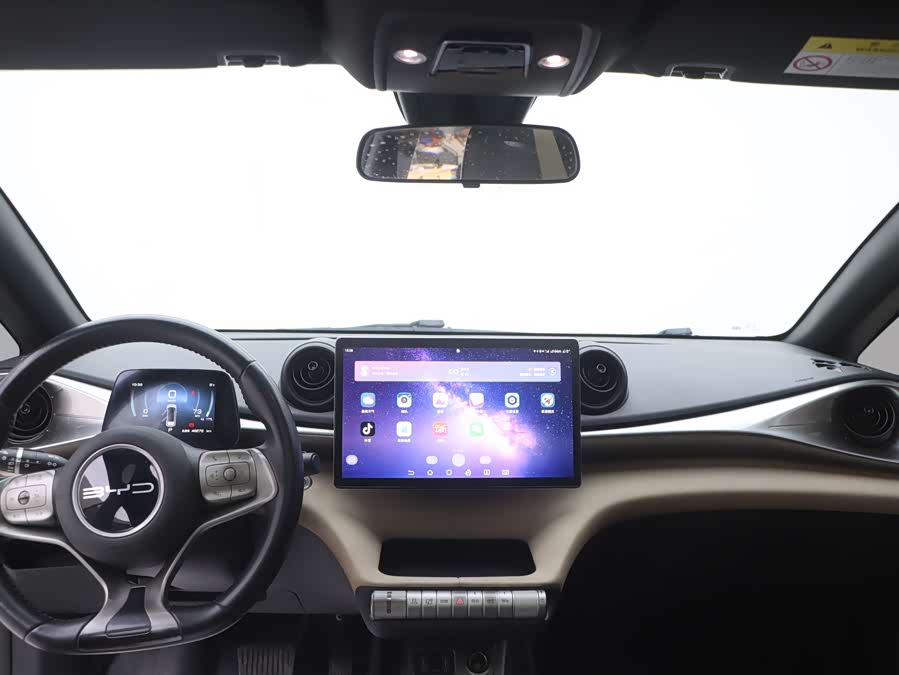 BYD Dolphin 2023 immagine di auto #10