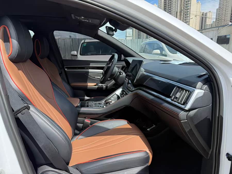 BYD Song Plus 2020 car image #10