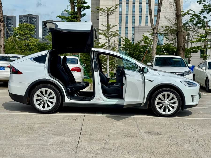 特斯拉 Model X 2020 汽车图片 #10