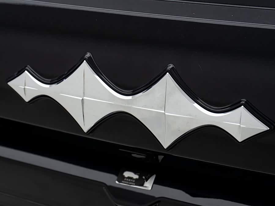 FangChengBao Tiger 3 2025 car image #10