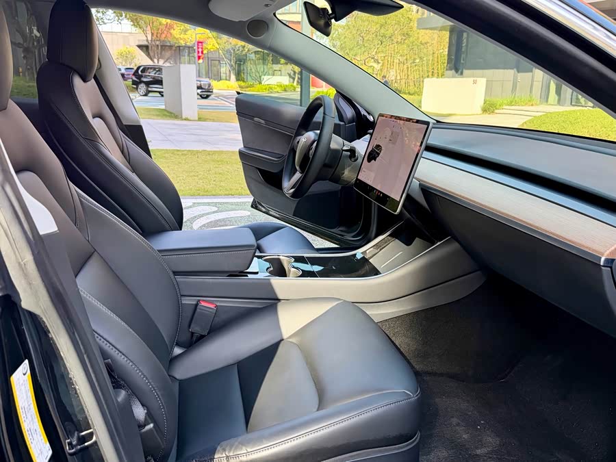 Tesla Model 3 2020 #10 Tesla Model 3 2020 car image #10