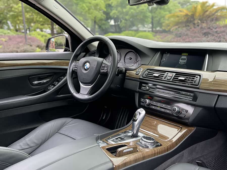 BMW 5 Series 2014 car image #10