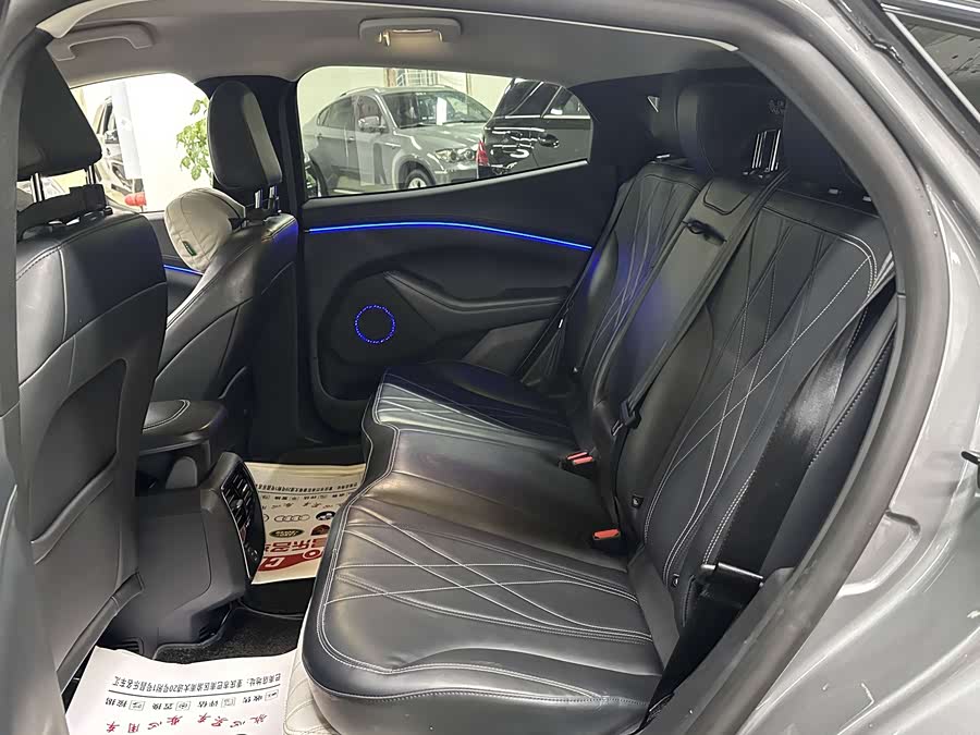 Ford Mustang Mach-E 2022 car image #10