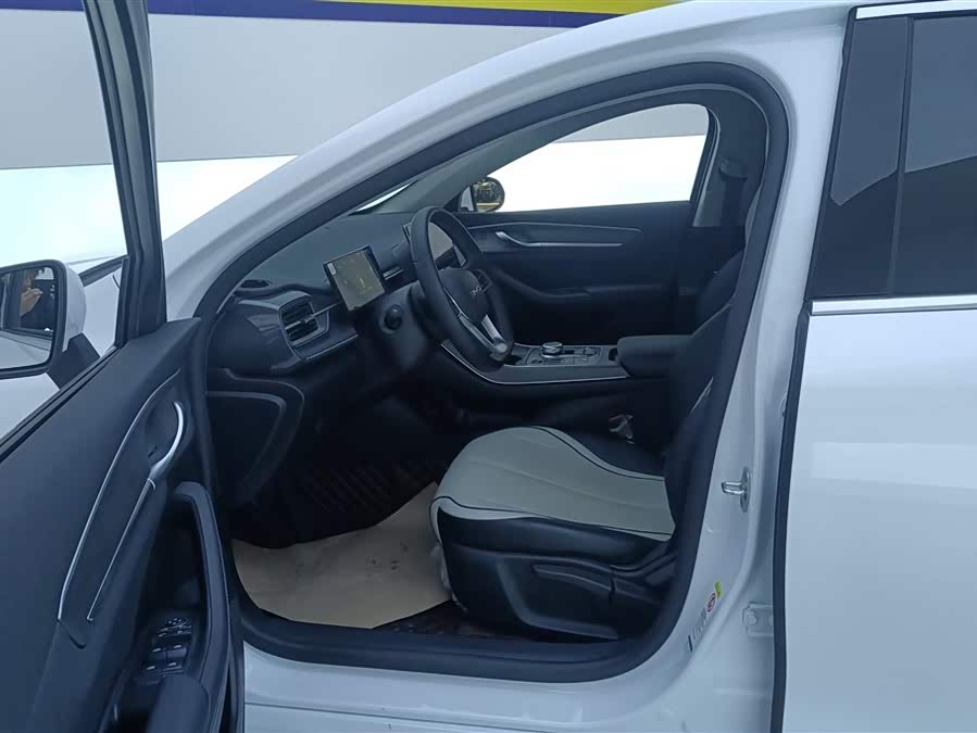 BYD Destroyer 05 2024 car image #10