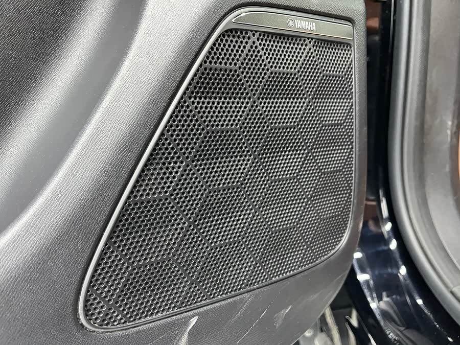 GAC Trumpchi E9 2024 car image #10