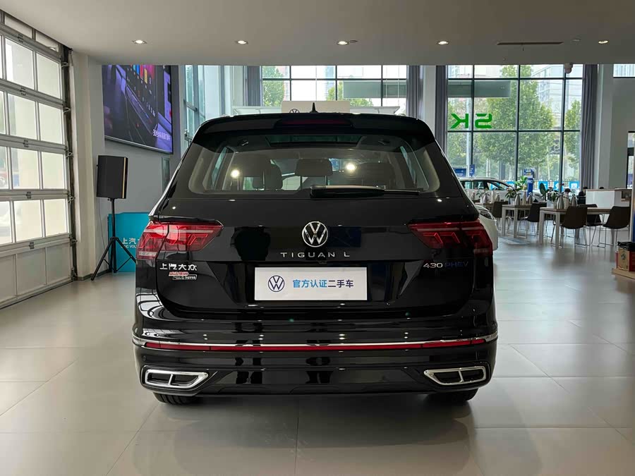 Volkswagen Tiguan L New Energy 2025 car image #10