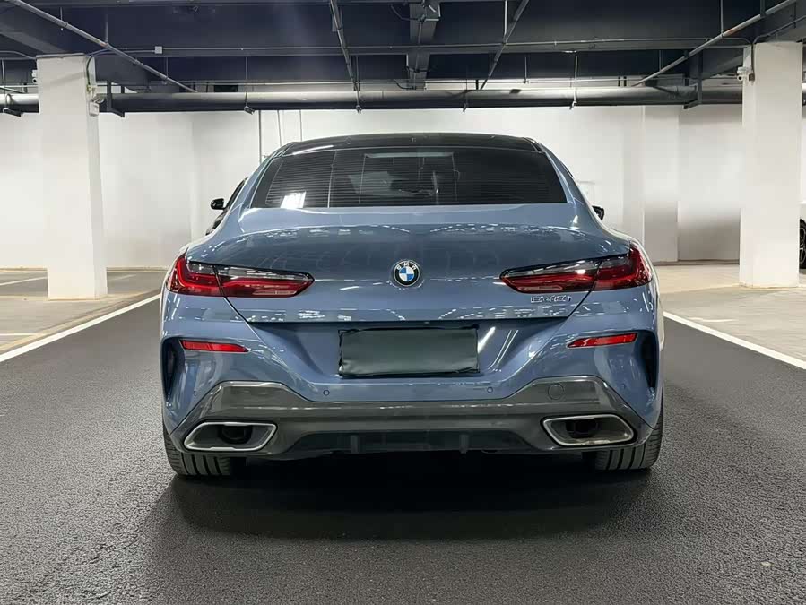 BMW 8 Series 2020 car image #10