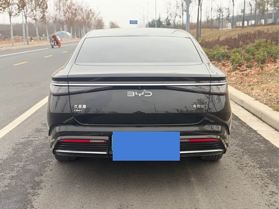 BYD Seal 07 DM-i 2024 car image #10