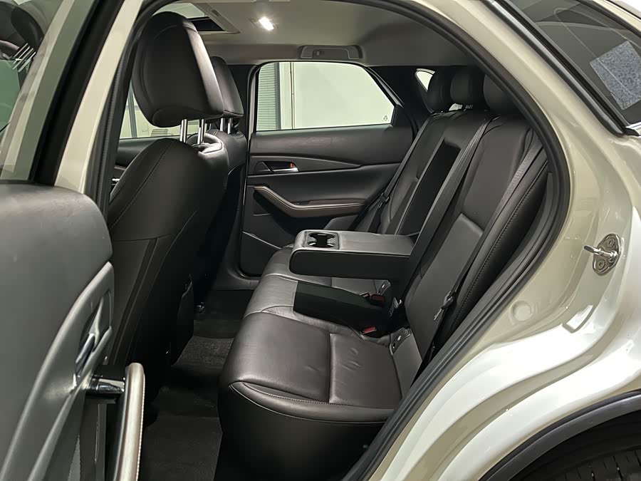Mazda CX-30 2021 car image #10