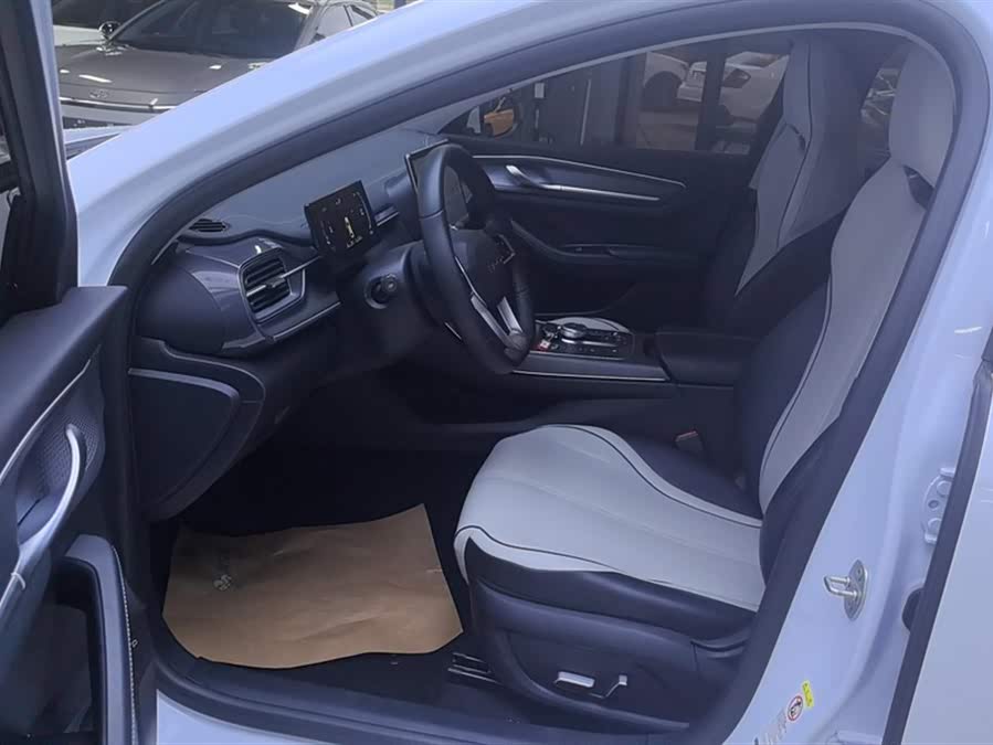 BYD Destroyer 05 2024 car image #10