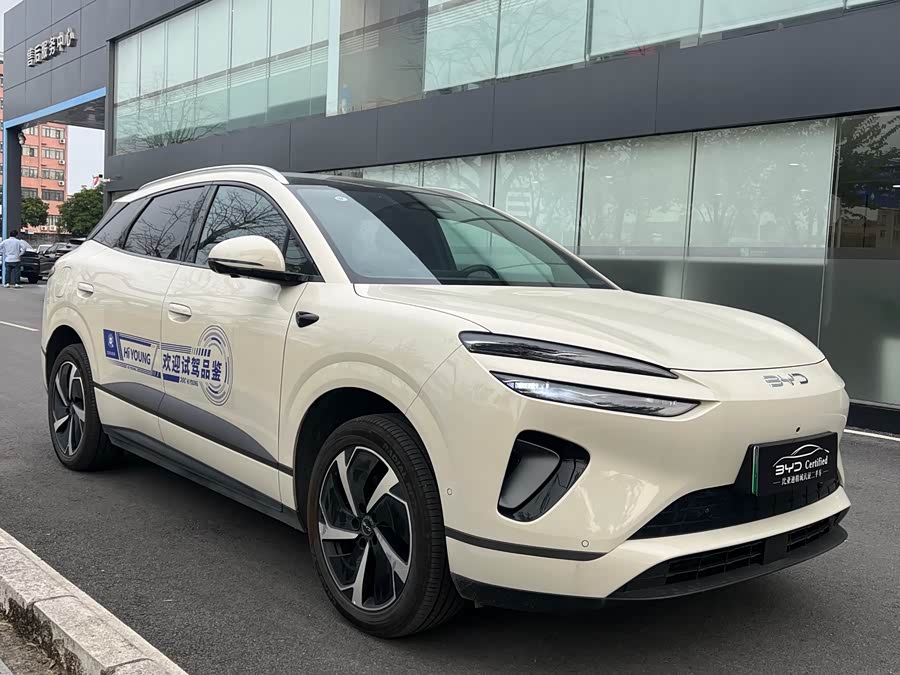 BYD Sea Lion 06 New Energy 2025 car image #10