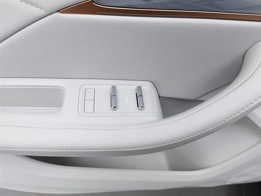 Neta L 2024 imagen de coche #10