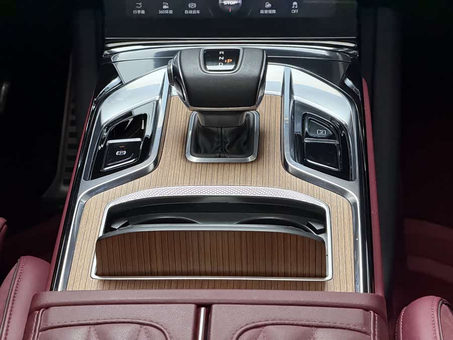 HongQi E-HS9 2023 car image #10