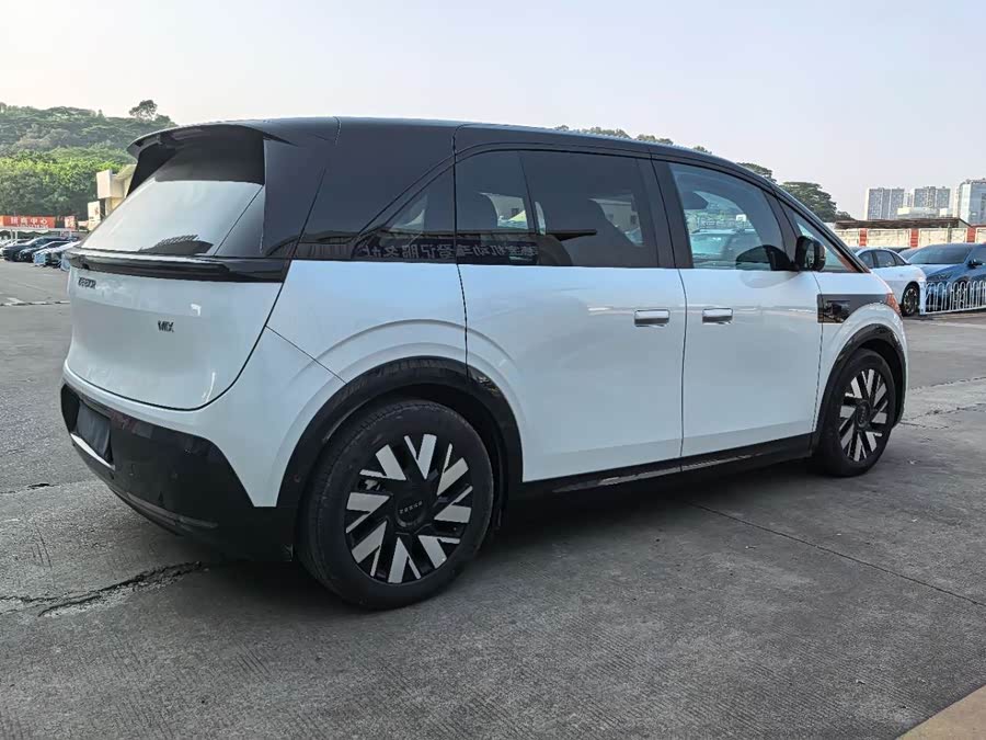 极氪 极氪MIX 2024 汽车图片 #10