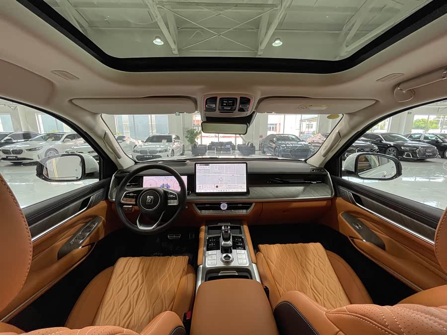 Tank 500 New Energy 2024 car image #10