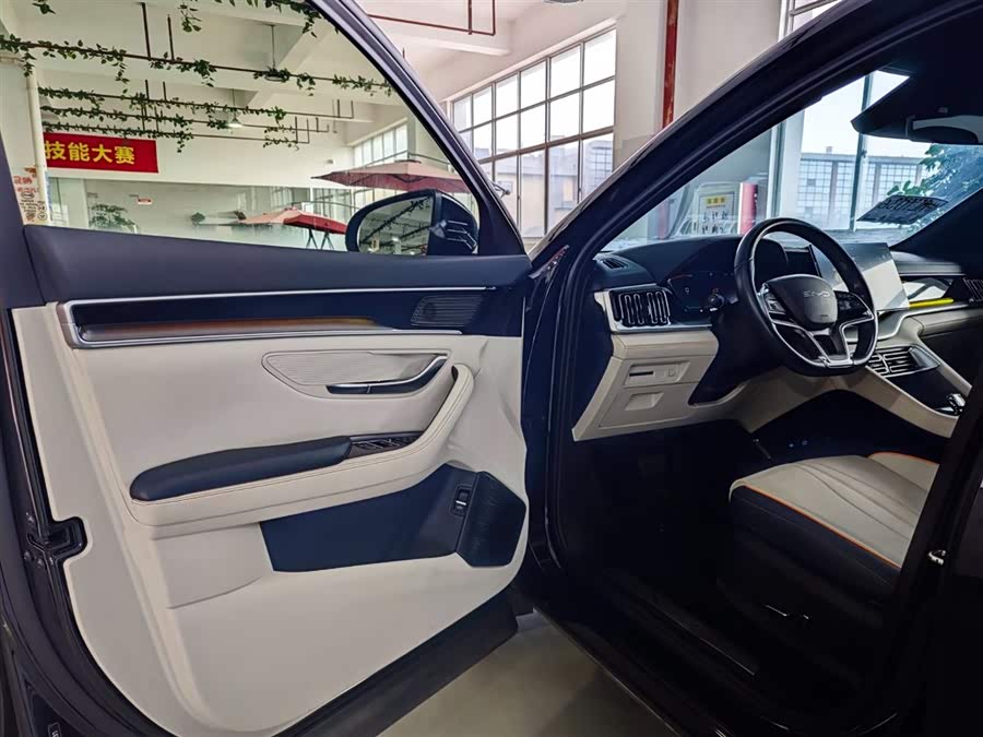 BYD Song Plus New Energy 2023 car image #10