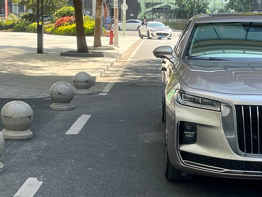 HongQi H9 2020 car image #10