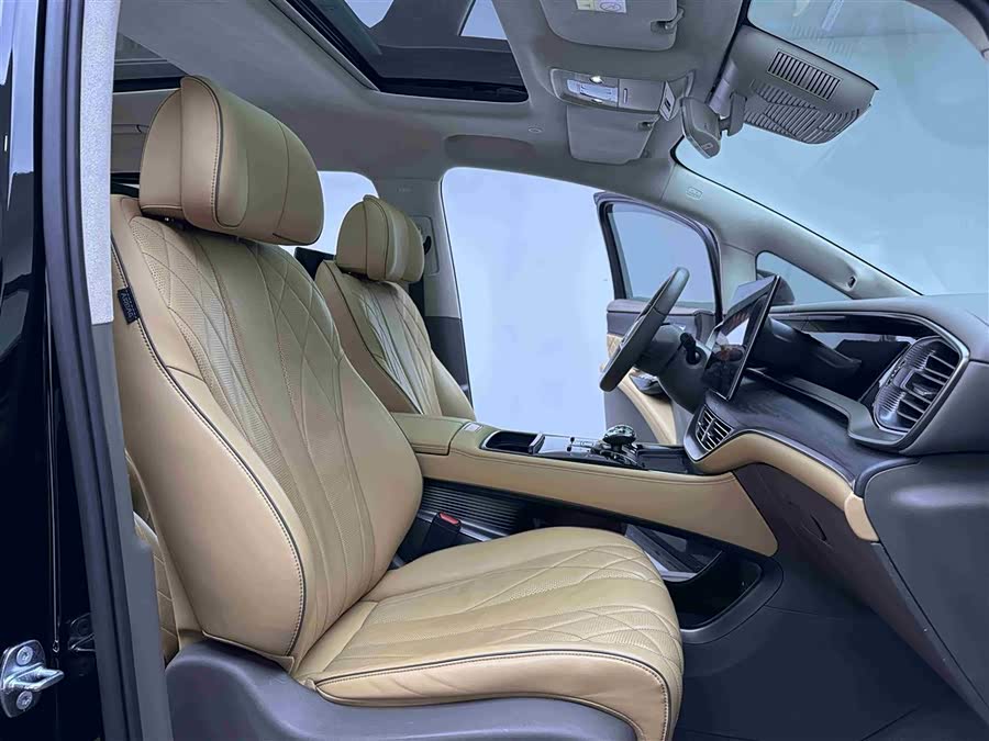 Denza D9 2023 immagine di auto #10