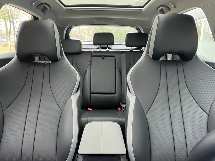 BYD Sea Lion 05 DM-i 2025 car image #10