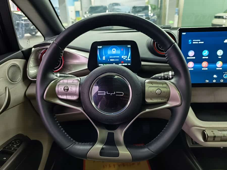 BYD Dolphin 2022 car image #10