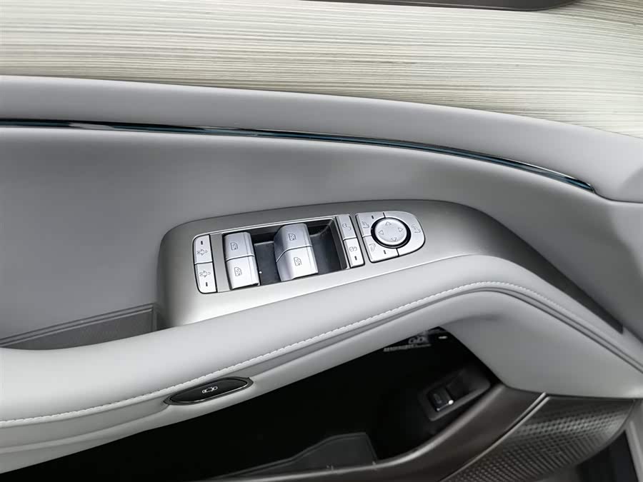 Denza 2023 car image #10