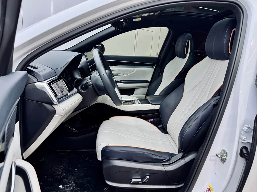 BYD Song Plus New Energy 2022 car image #10
