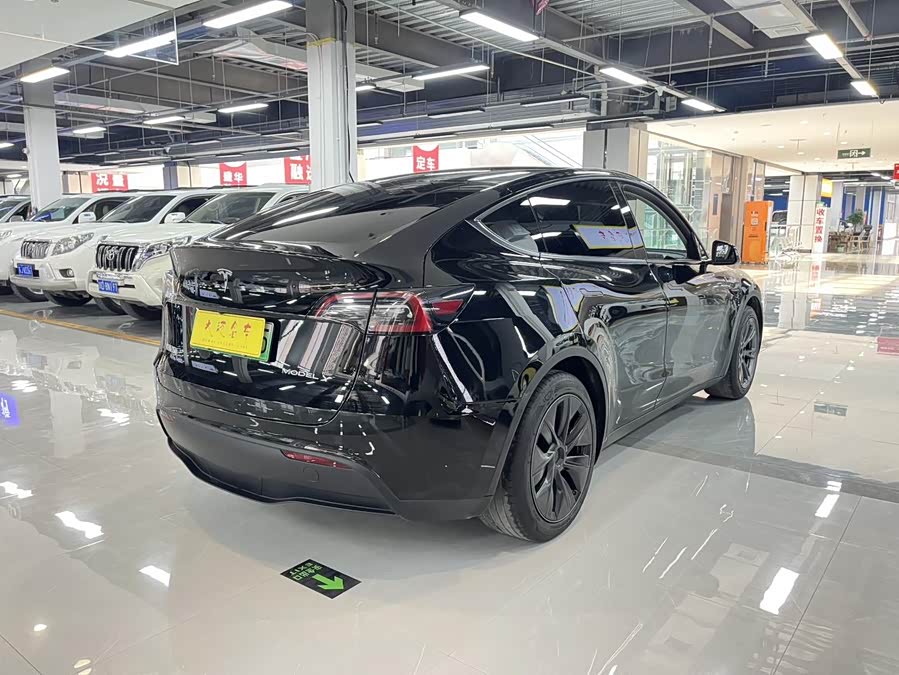 Tesla Model Y 2023 car image #10