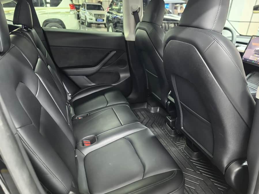 Tesla Model Y 2023 car image #10