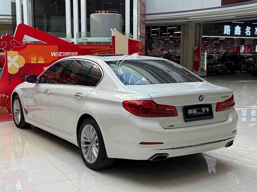 BMW 5 Series 2018 car image #10