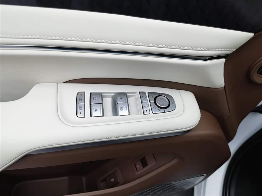 BYD Xia 2024 imagen de coche #10